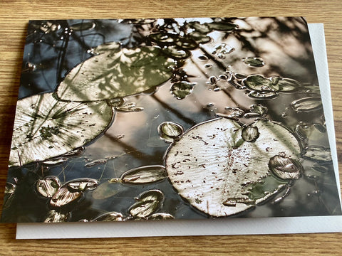 Briefkarte Seerosenblätter (art+nature)