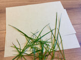 Graspapier A4 Briefbogen (100g/m²)°
