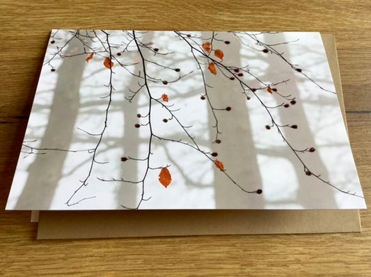 Briefkarte Die Bäume (art+nature) B6