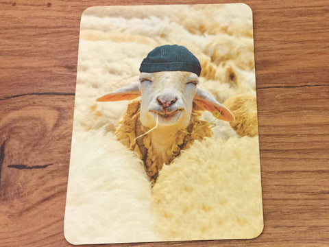 Postkarte Schaf mit Mütze (Gutrath)