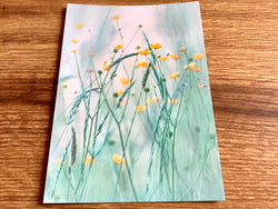 Postkarte Hahnenfuß (art+nature)