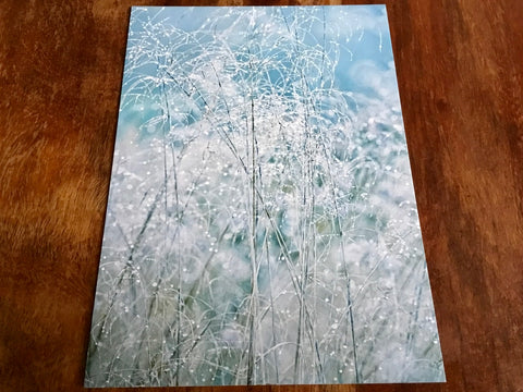 Postkarte art+nature Rutenhirse