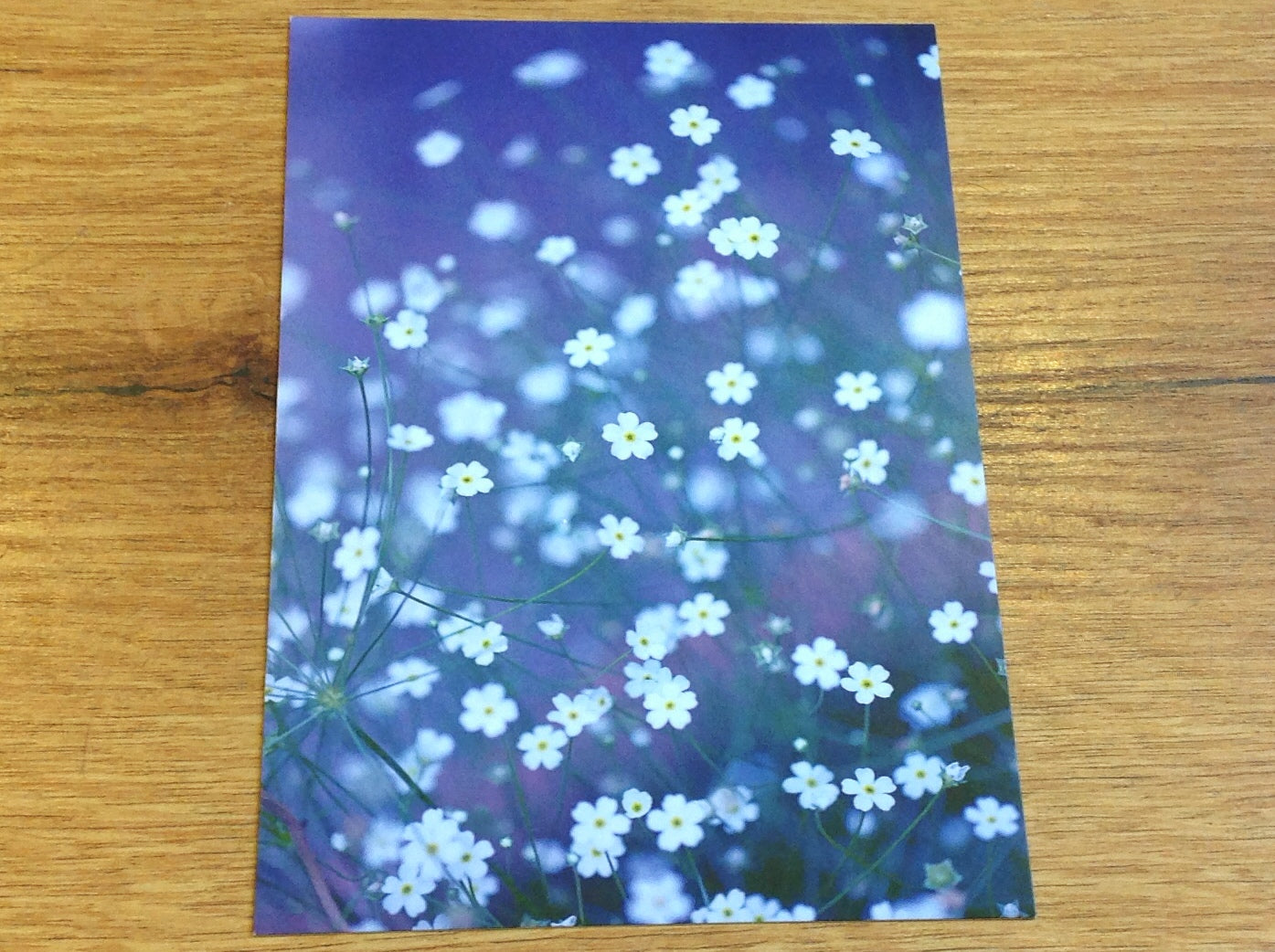 Postkarte Kleine Blümchen (art+nature)