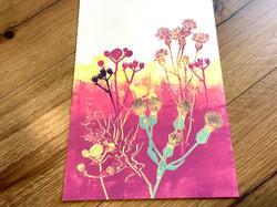 Maxi-Karte A4 +C4 Kunstkarte Feld- und Wiesenblumen