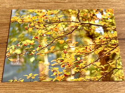 Postkarte Herbstbeeren (art+nature)