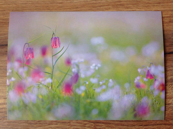 Postkarte art+nature Schachbrettblumenwiese - Polly Paper