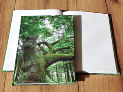Hardcover A5 blanko Baum - Polly Paper