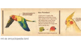 mt tape 3cm bird encyclopedia