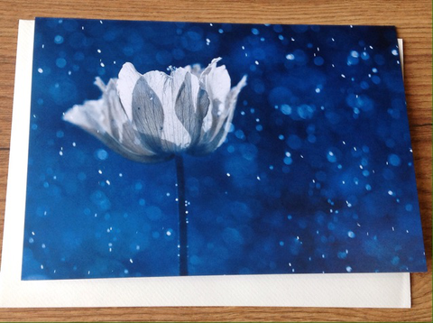 Klappkarte art+nature Magic Blue - Polly Paper