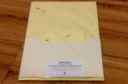 Briefset Marigold Bütten 10xA4 5xC6 - Polly Paper