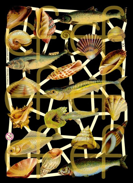 Glanzbilder Fische Meerestiere°