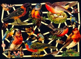 Glanzbilder Vögel nostalgisch°