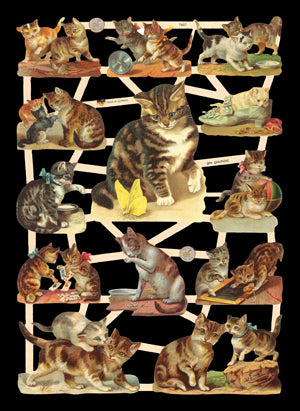 Glanzbilder Katzen 7407 nostalgisch