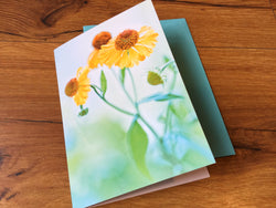 Briefkarte Sonnenbraut (art+nature)