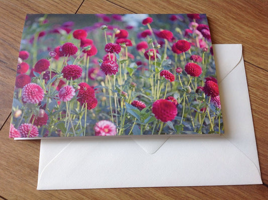 Klappkarte art+nature Dahliengarten - Polly Paper