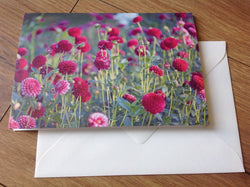 Klappkarte art+nature Dahliengarten - Polly Paper