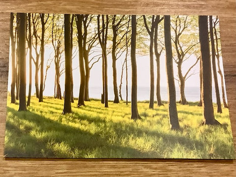 Postkarte Frühlingsstimmung (art+nature)