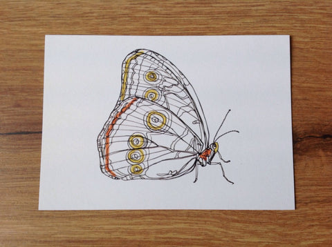Postkarte Schmetterling Lepidopter Erichsen - Polly Paper