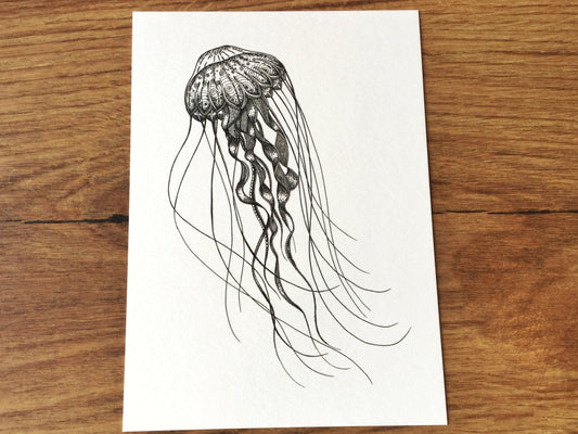 Postkarte Qualle Bambus Ligarti