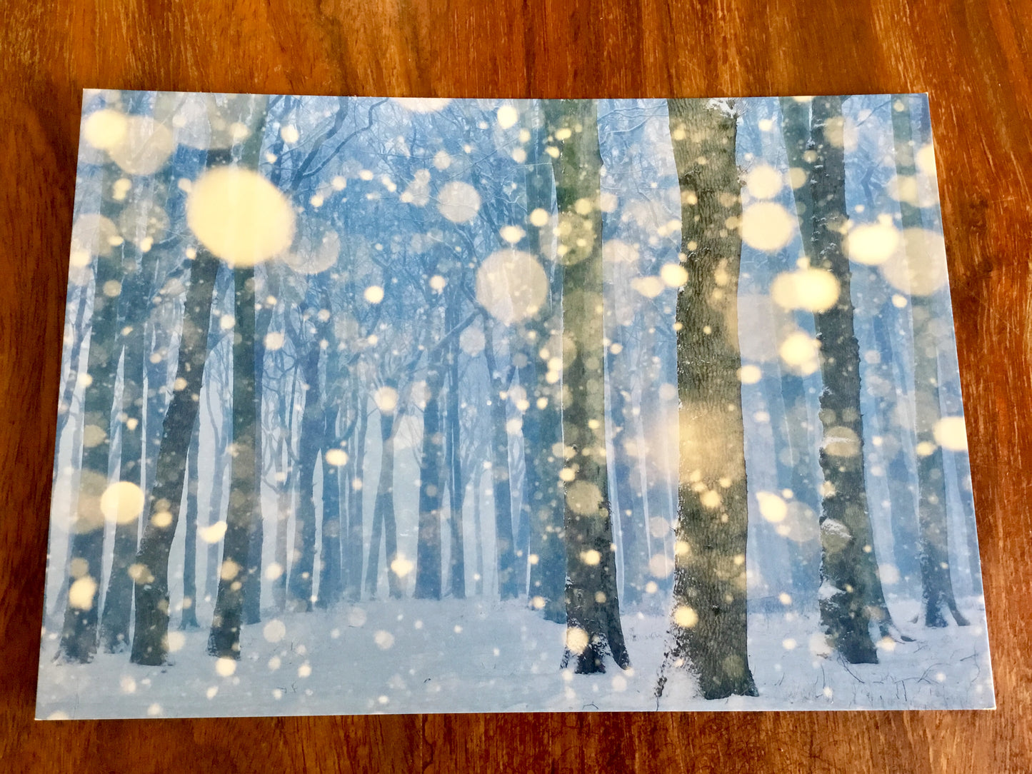 Postkarte Schneefall (art+nature)