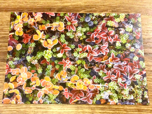 Postkarte Herbstkomposition (art+nature) B6