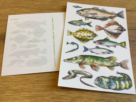 Postkarte Ostseefische (Schnurverlag) RC