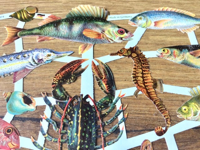 Glanzbilder Fische Meerestiere°