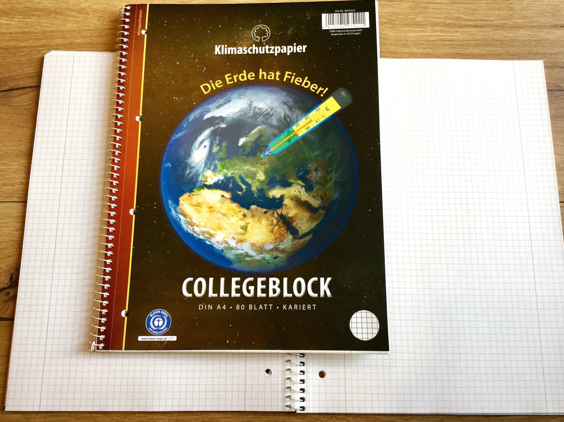 Collegeblock A4 Recyclingpapier kariert