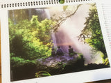 Regenwald-Fotos 12 A3-Poster (Kalender-Recycling)