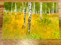 Postkarte Birkenwald (art+nature)