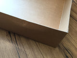 Archivbox für Bilder Poster Pläne 90x14x50cm Schwartz RC