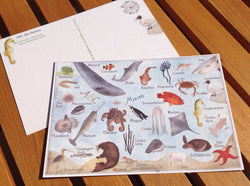 Postkarte ABC des Meeres (Schnur) - Polly Paper