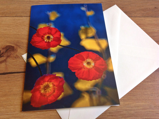 Klappkarte mit leuchtend roten Mohnblumen vor tiefblauem Hintergrund