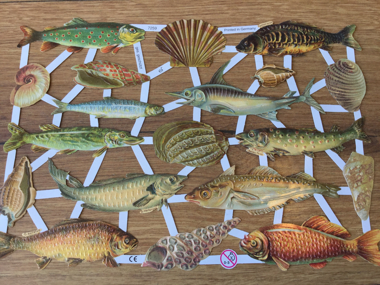 Glanzbilder Fische Meerestiere°
