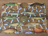 Glanzbilder Fische Meerestiere°