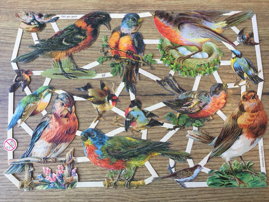 Glanzbilder Vögel nostalgisch 7281 - Polly Paper - Umweltfreundliche Schreibwaren