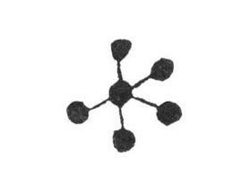 Kleine Holzstempel mit Blütenmotiven von Cats on Appletrees - bei Polly Paper - Umweltfreundliche Schreibwaren