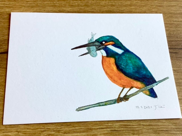 Postkarte mit der Illustration eines Eisvogel auf einem Ast mit einem Fisch im Schnabel