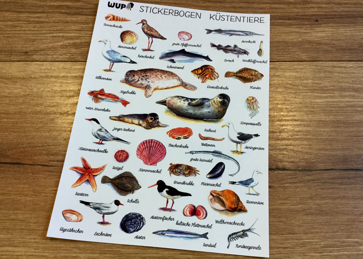 Stickerbogen A5 Küstentiere